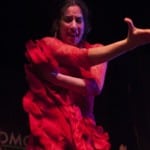 tablao flamenco madrid cardamomo saray pitita