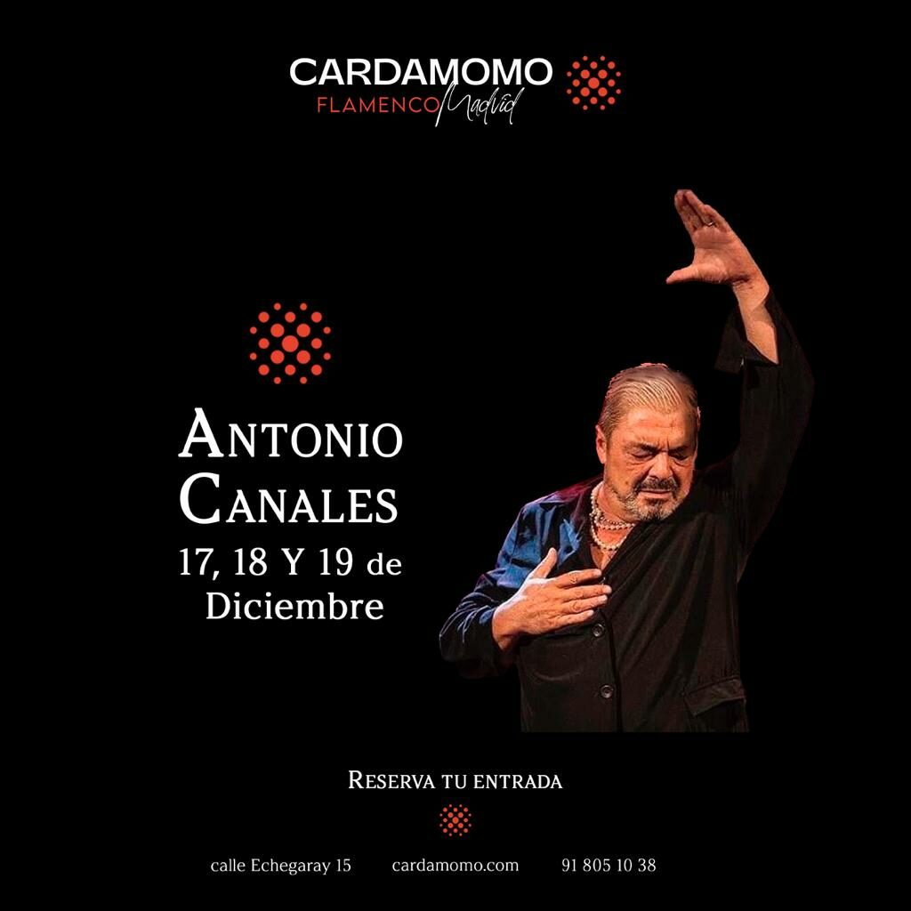 Antonio Canales en Diciembre en Cardamomo Tablao Flamenco