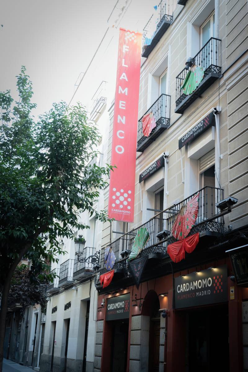 Vous cherchez quoi faire à Madrid? Allez à un spectacle de flamenco!