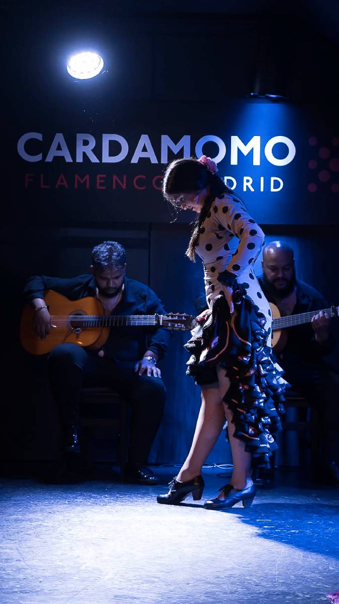 Cercando cosa fare a Madrid? Vai a vedere uno spettacolo di Flamenco!