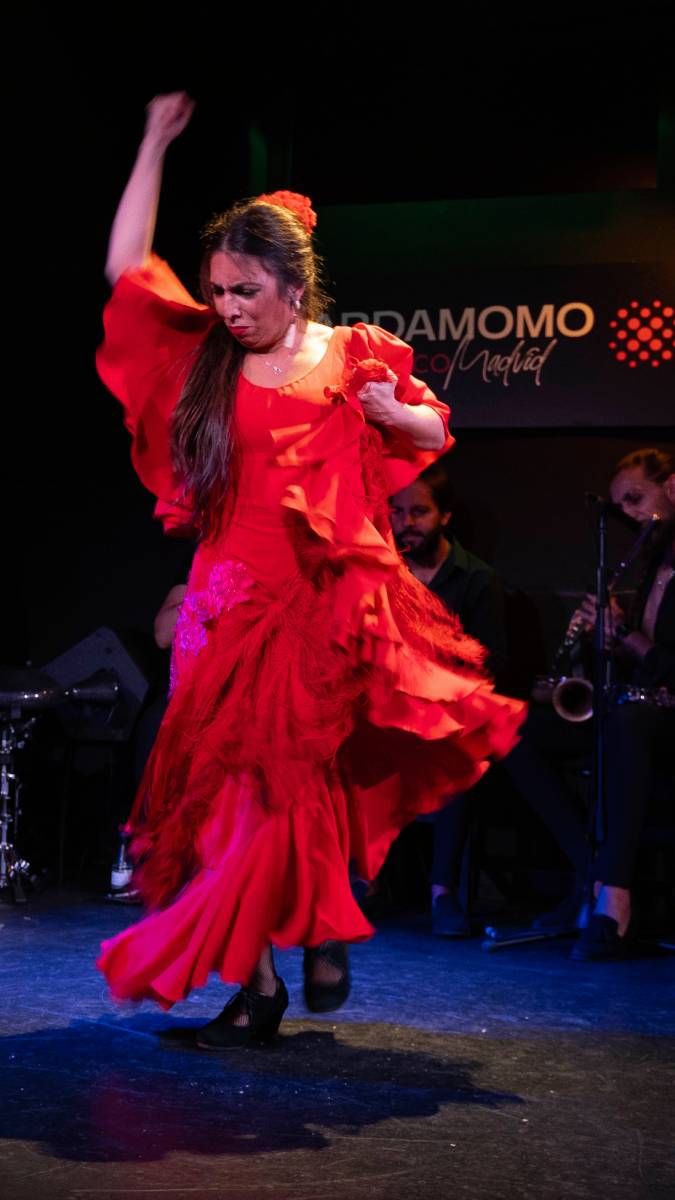 Cercando cosa fare a Madrid? Vai a vedere uno spettacolo di Flamenco!